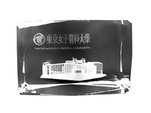 ペーパーウエイト